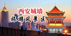大黑屌暴插逼逼我中国陕西-西安城墙旅游风景区